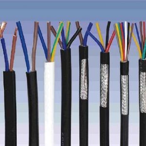 ������|����|���N��е�һ�N��ʲô�ǿ�����|��